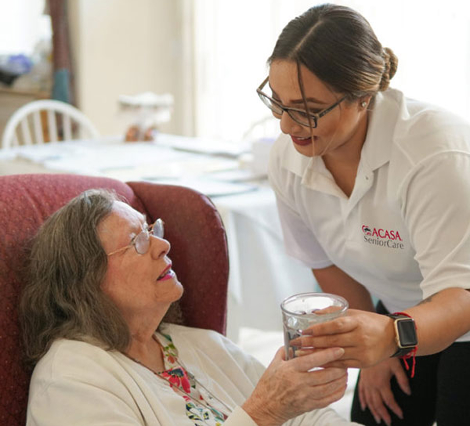 Home care professional assisting elderly woman at home.